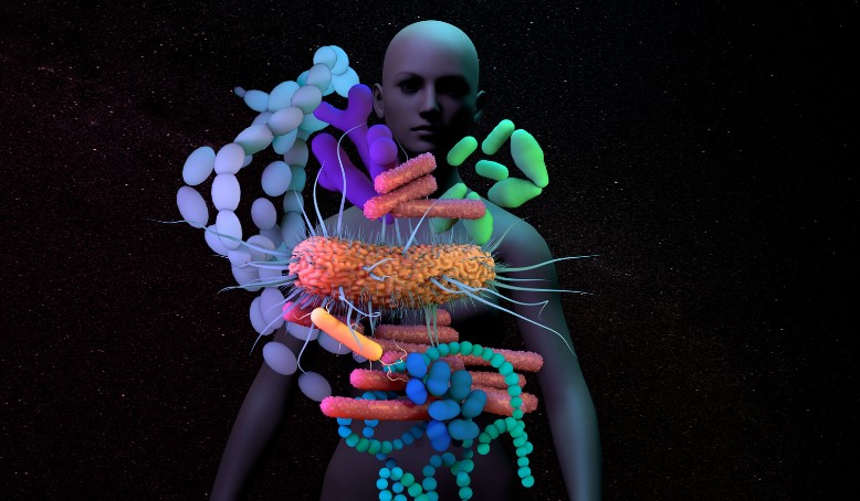 мікробіом людини для чайників